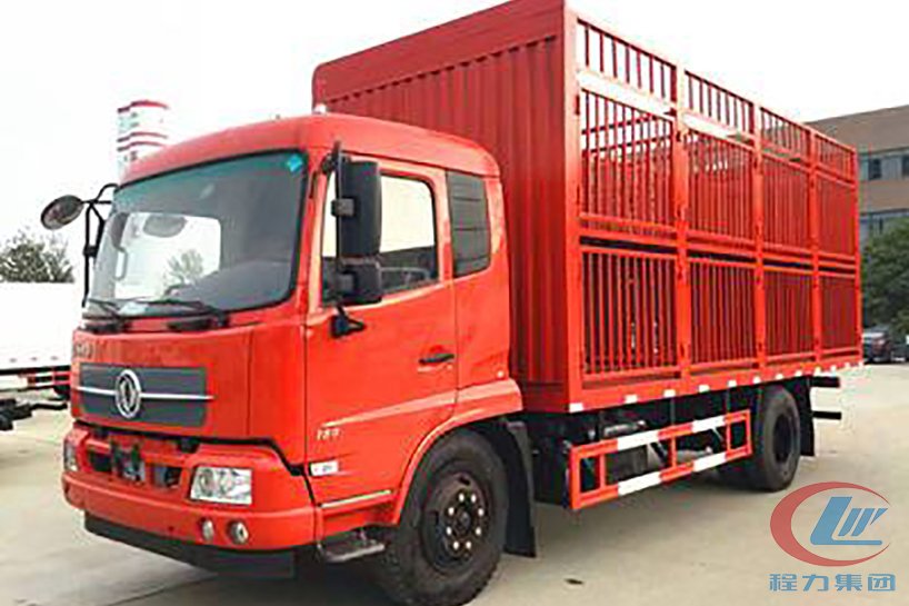東風(fēng)6米2簡易運豬車側(cè)面圖